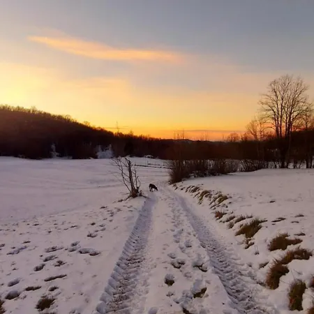 Casa de Férias Podgozd House *