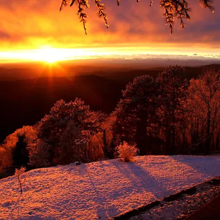 Podgozd House 펜션