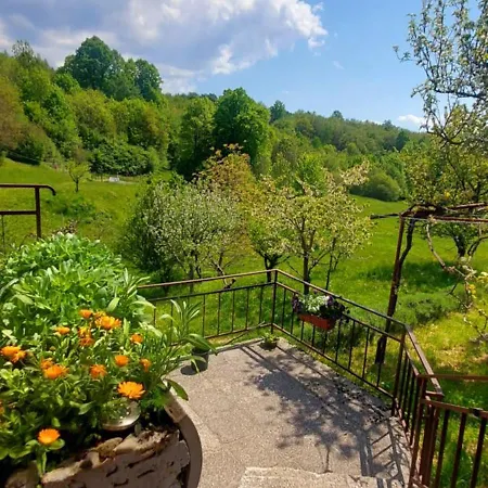 Podgozd House * Trnovo