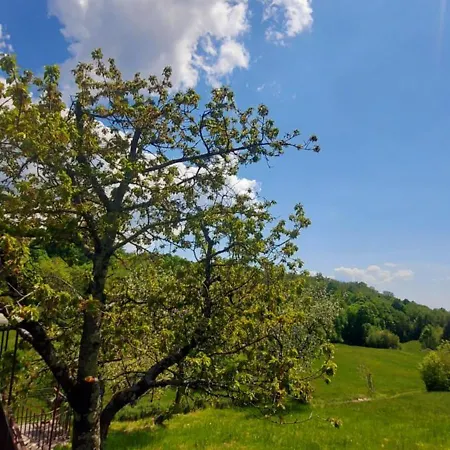 Podgozd House *