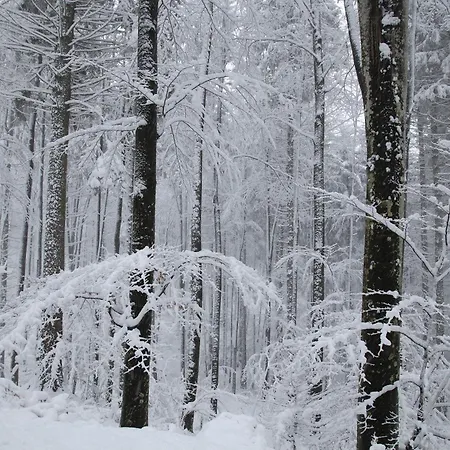 Casa de Férias Podgozd House Trnovo