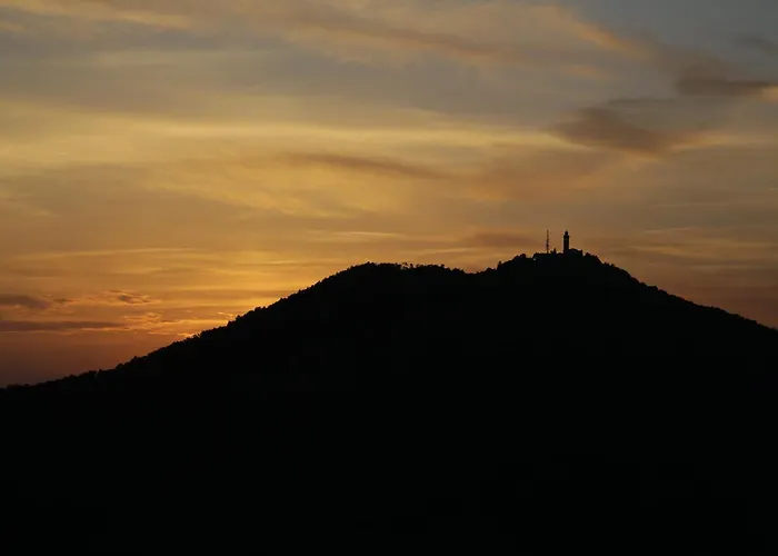 Podgozd House 度假居 *