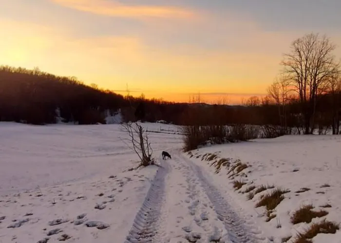 度假居 Podgozd House *