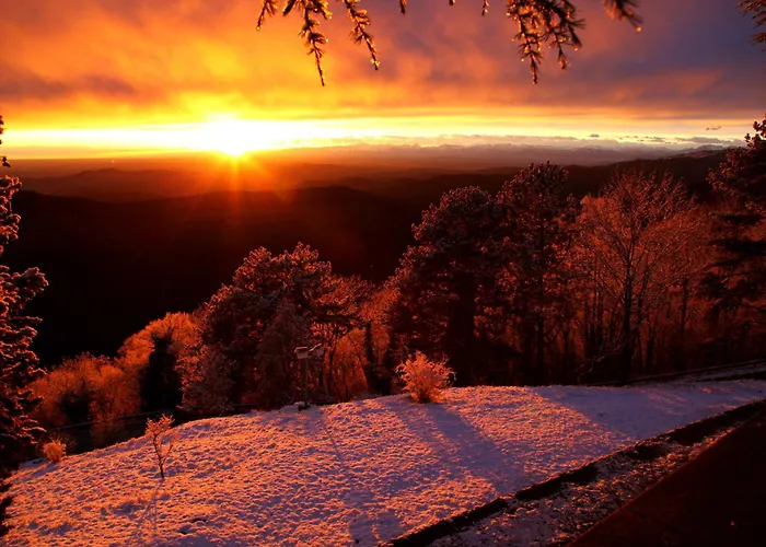 Podgozd House 度假居