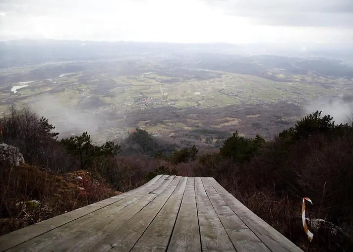 Podgozd House 度假居