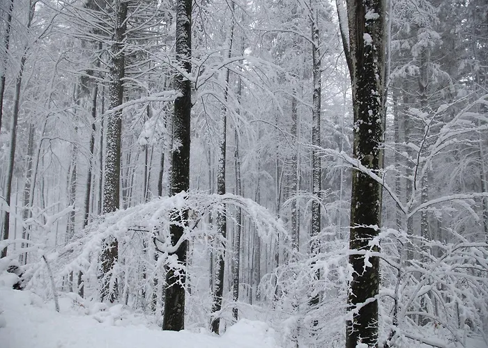 Vikendica Podgozd House Trnovo